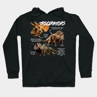 Triceratops Fun Facts Hoodie